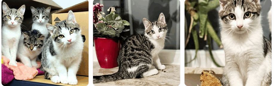 Wisst ihr, was hier los ist?