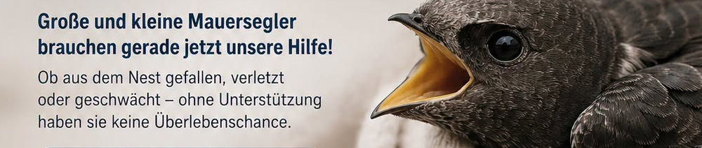 Päppelstellen dringend gesucht!